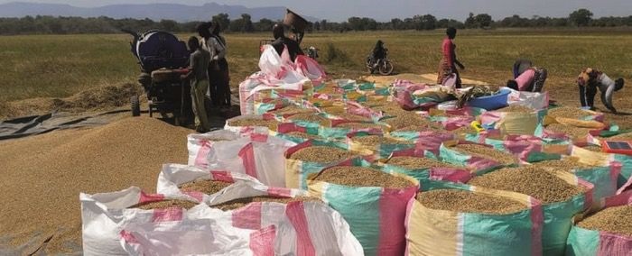 Annonce relative à l’achat de riz Paddy